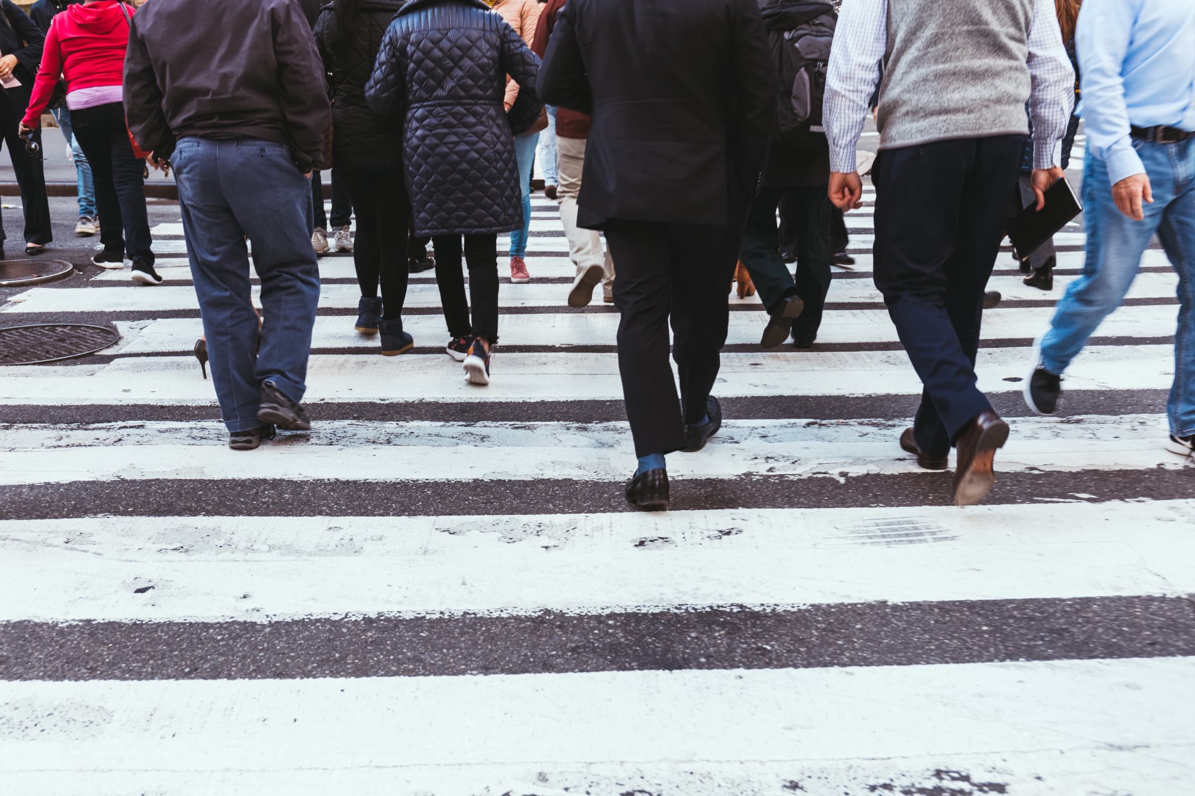 A crowd of pedestrians crossing a striped city crosswalk, seen from behind